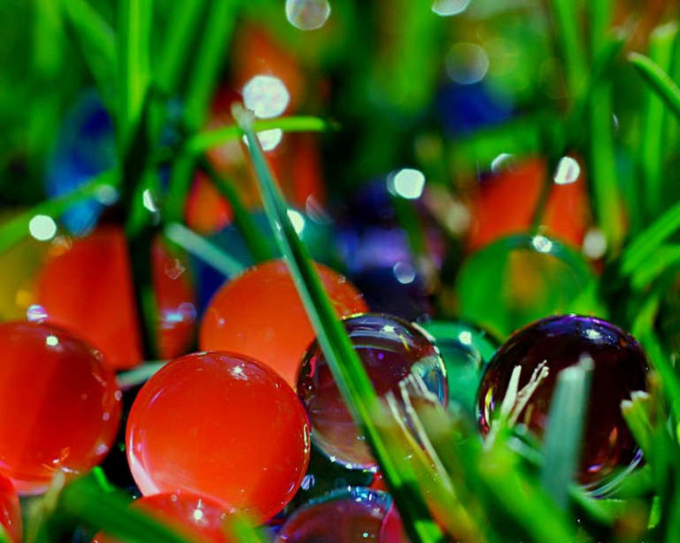 Самая большая коллекция стеклянных шариков: 40000 штук