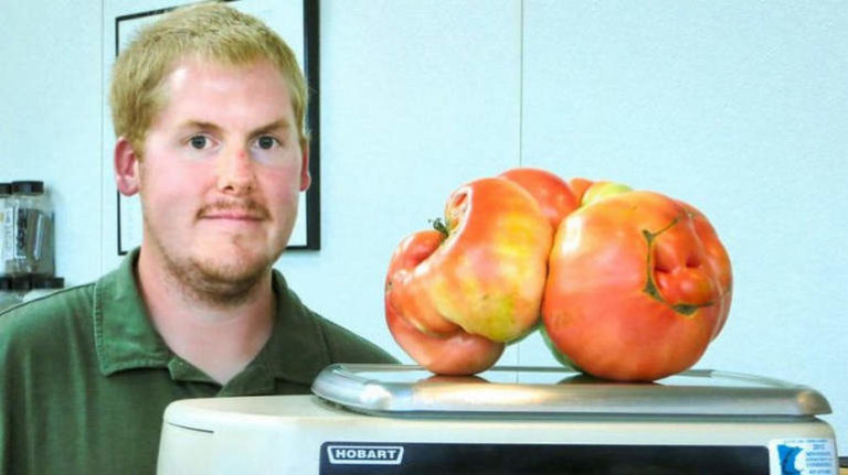 Самый большой в мире помидор: Большой Зак
