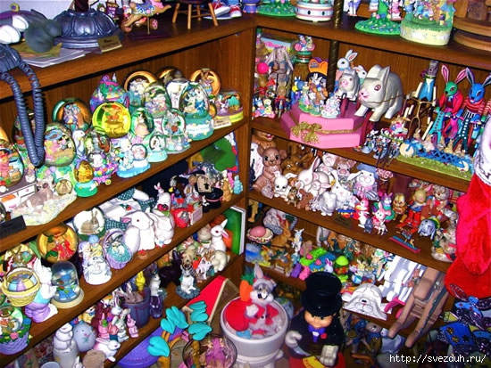 Самая большая коллекция кроликов