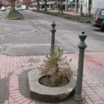 Самый маленький парк: два рекорда Самый маленький парк: два рекорда