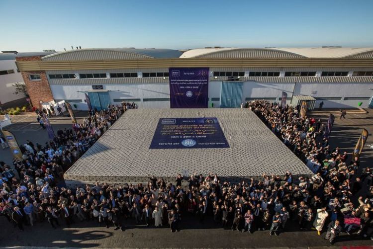 Компания Долидол создала рекордно большой матрас