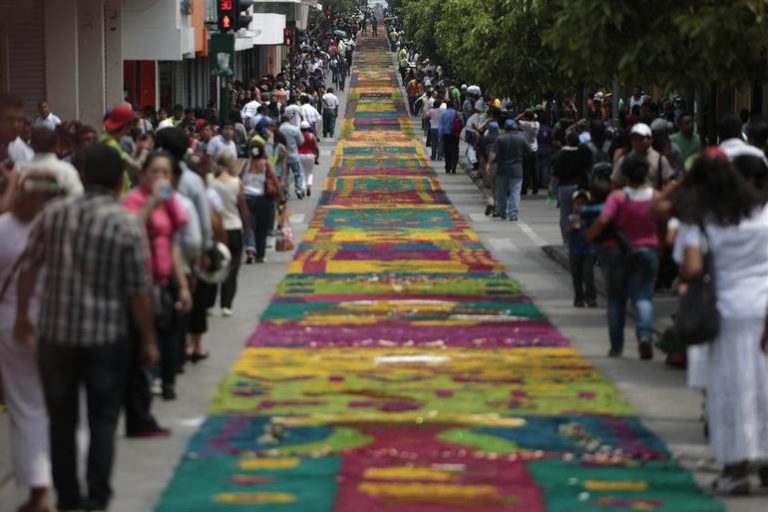 Самый длинный ковер из живых цветов