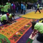 Самый длинный ковер из живых цветов