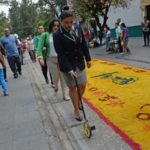 Самый длинный ковер из живых цветов