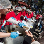 Самая большая порция рагу из чечевицы