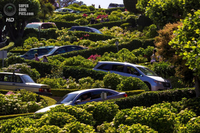 Книга рекордов Гиннесса: дороги и улицы