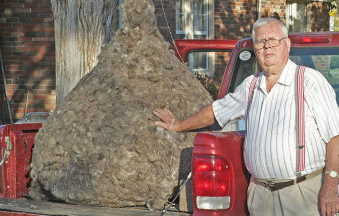 Американский парикмахер собрал рекордный клубок человеческих волос