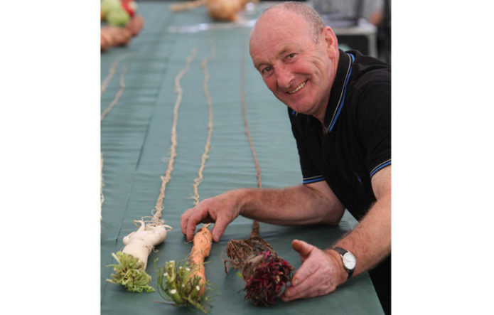 В Британии вырастили самую длинную морковь