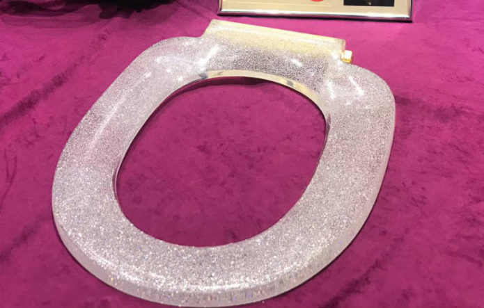 Самое большое количество бриллиантов на унитазном стульчаке