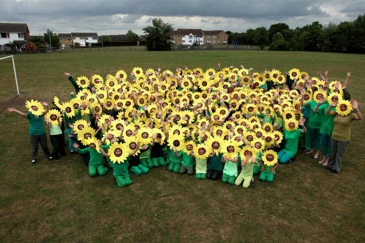 Рекордное количество людей, одетых в костюмы подсолнухов
