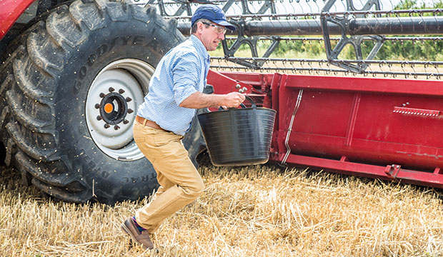 Самый быстрый путь «от зерна к готовому хлебу» (видео)